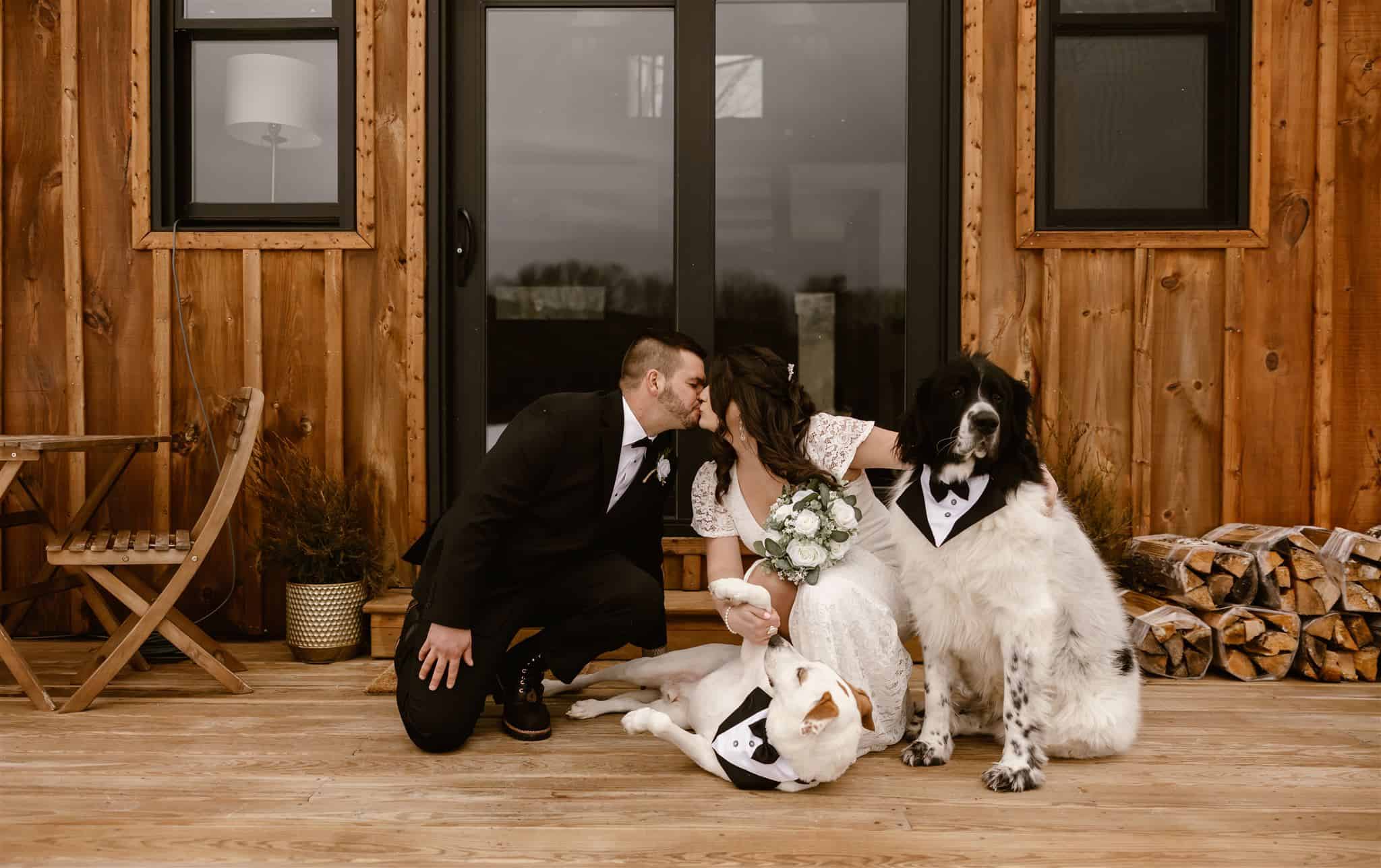 white mountains, nh winter elopement with dogs